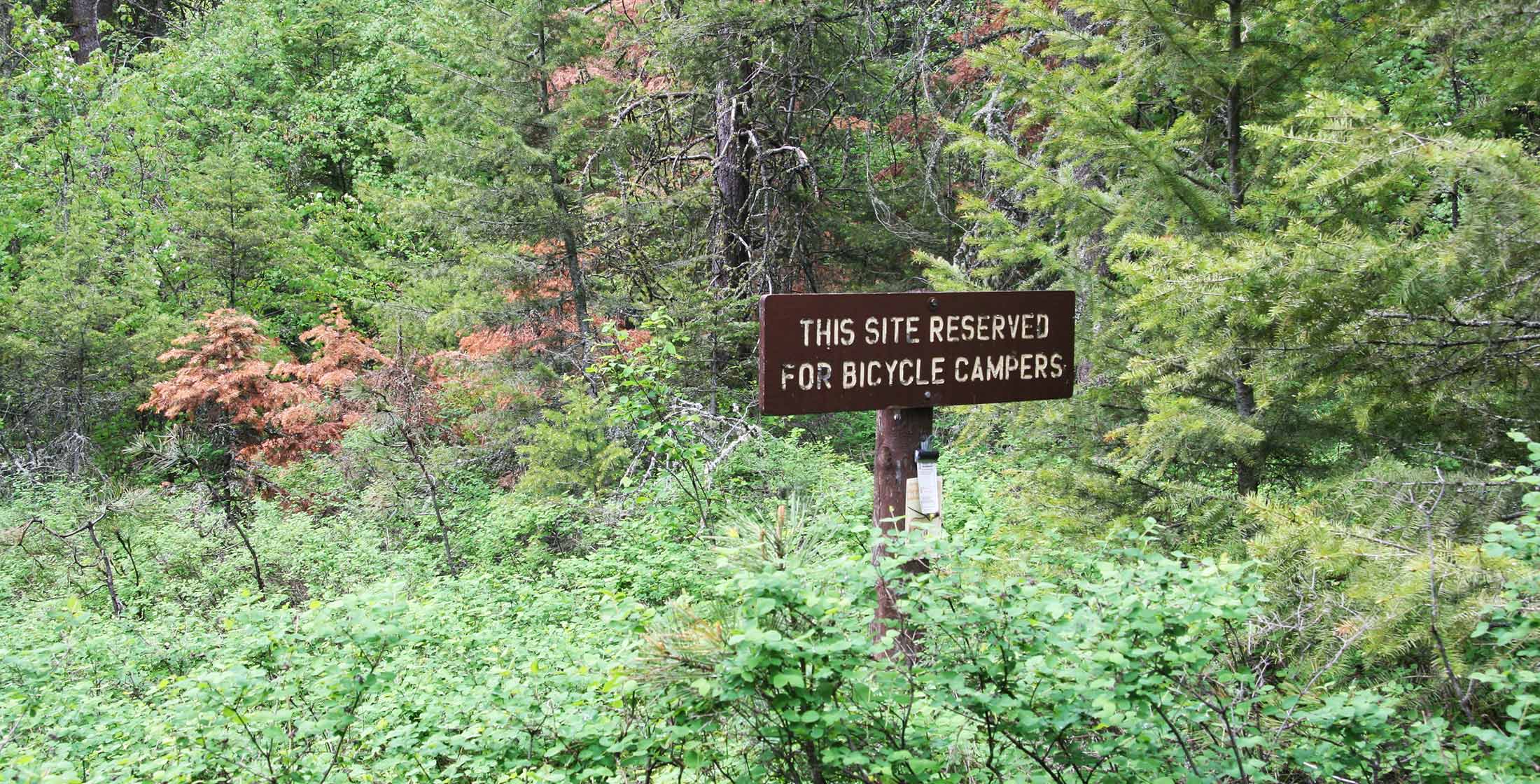 Bitterroot Trail Hiking and Biking Trails